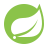 Logomarca Spring Boot Framework